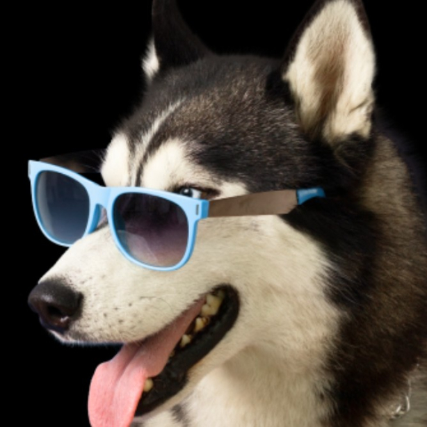 User profile picture