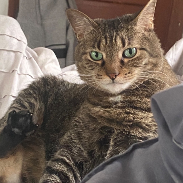 User profile picture