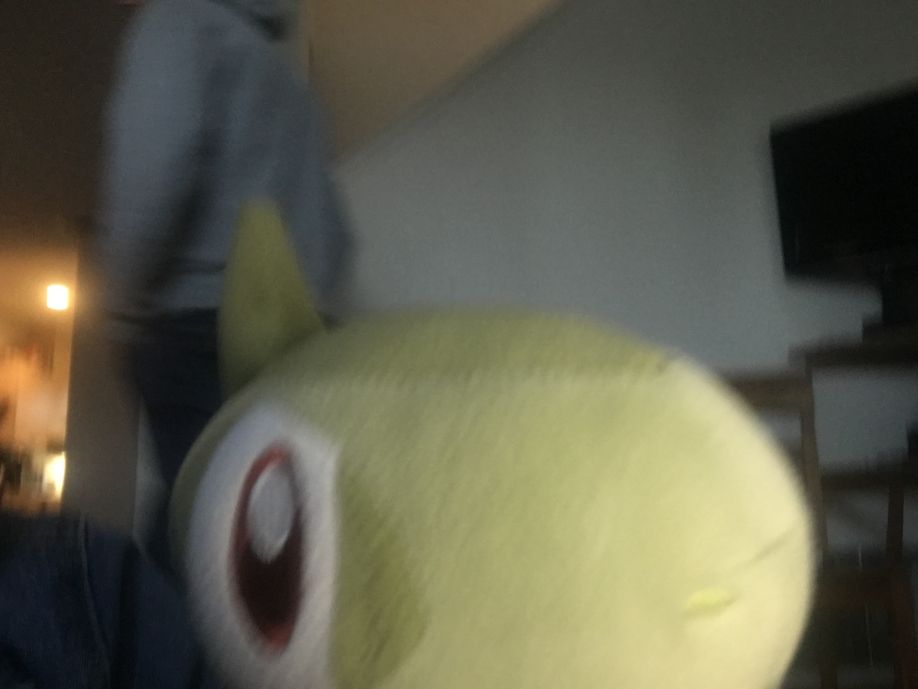 User profile picture