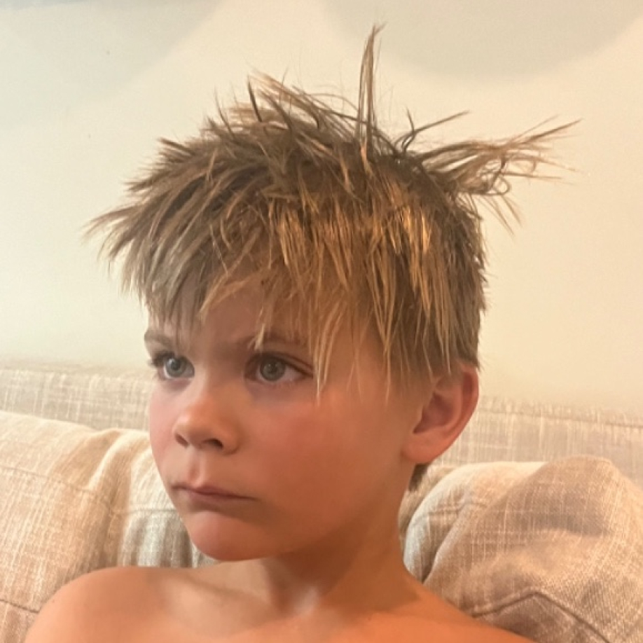 User profile picture