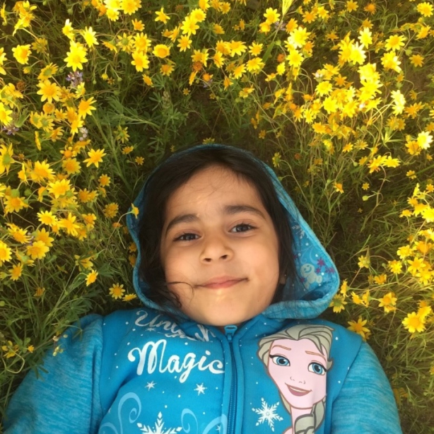 User profile picture