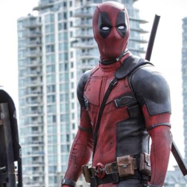 User profile picture