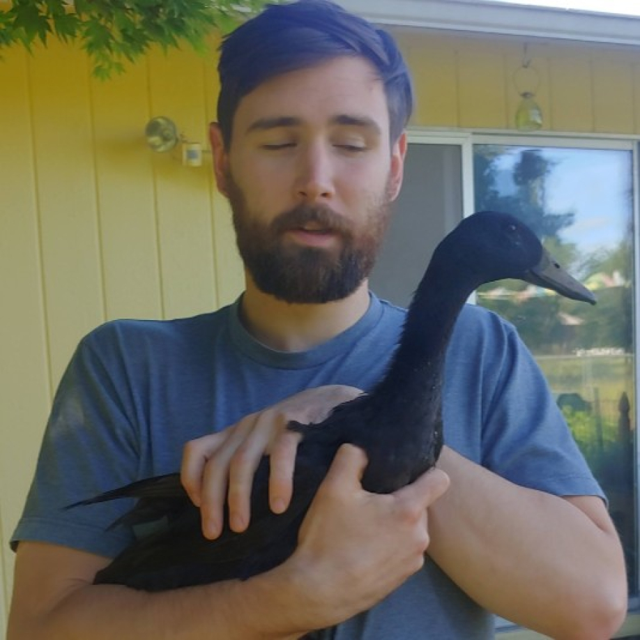 User profile picture