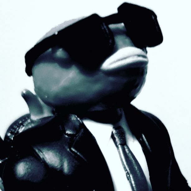 User profile picture
