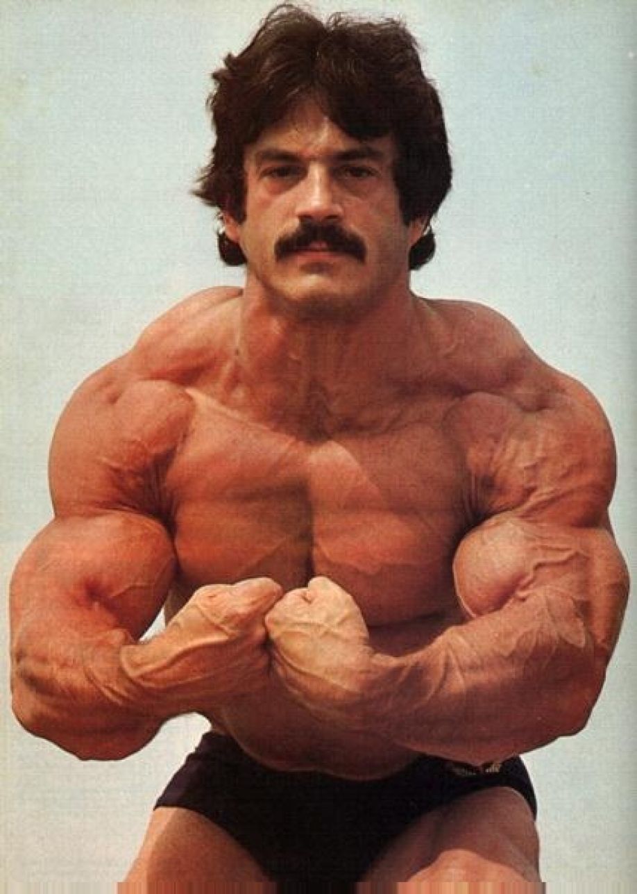 User profile picture