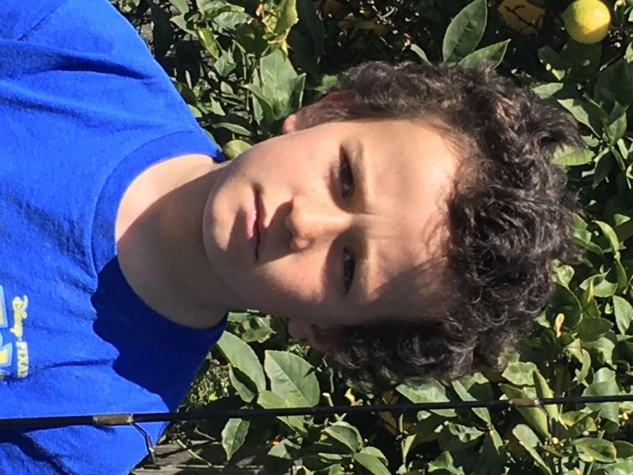 User profile picture
