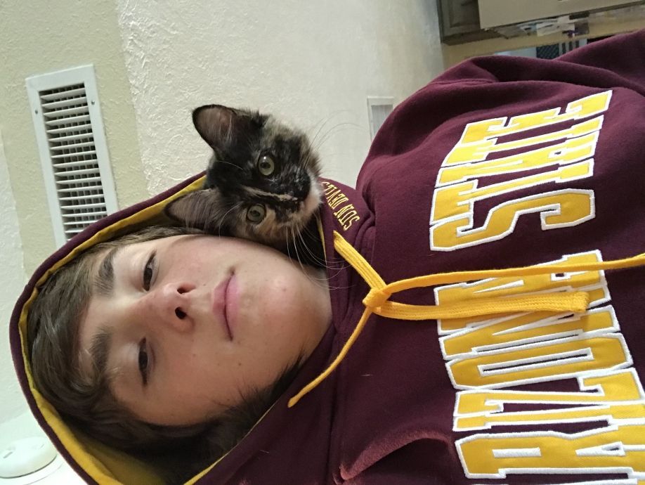 User profile picture