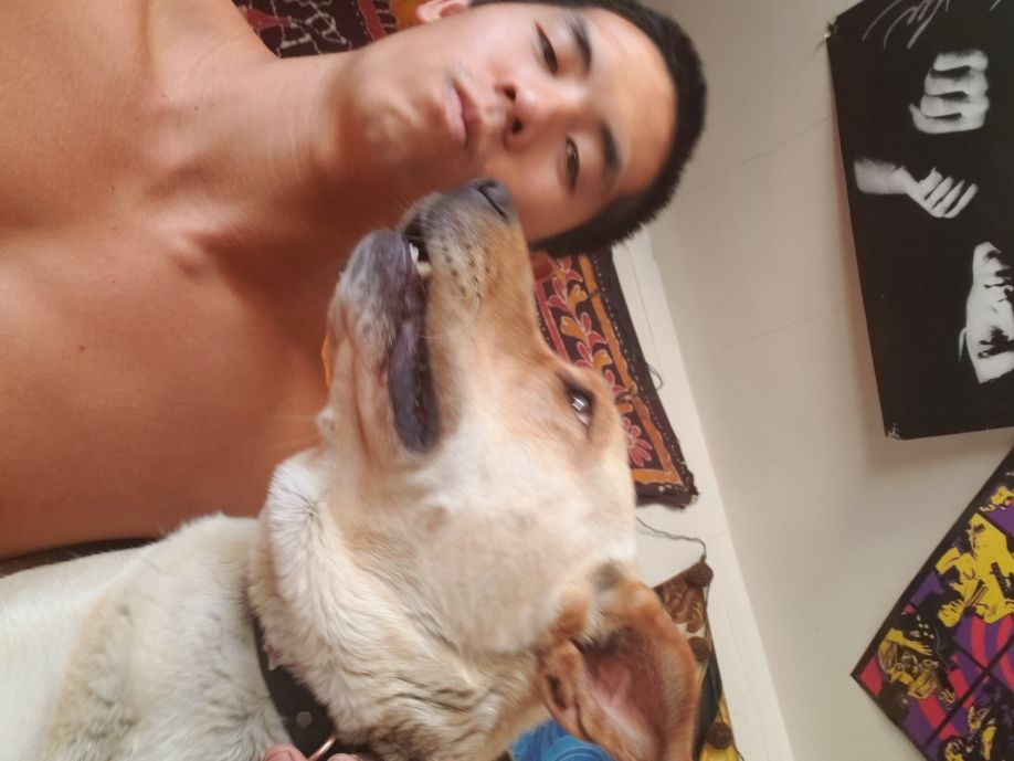 User profile picture
