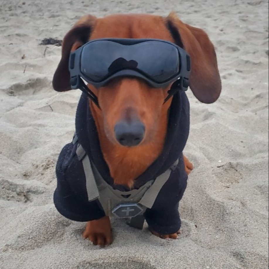 User profile picture