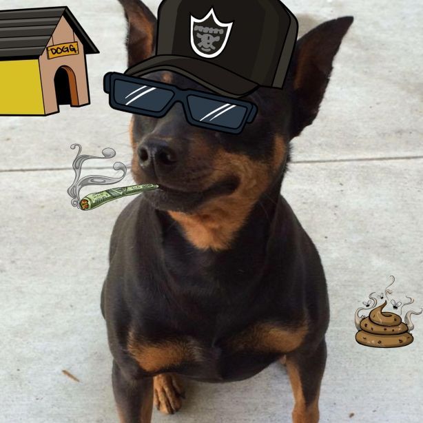 User profile picture