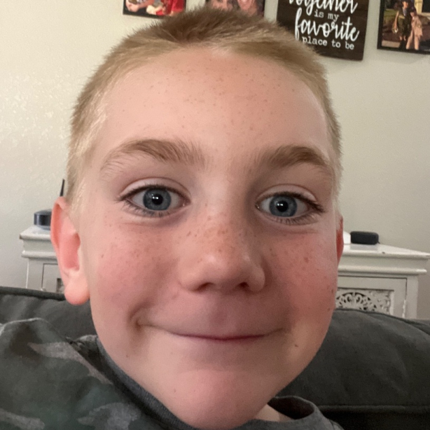 User profile picture