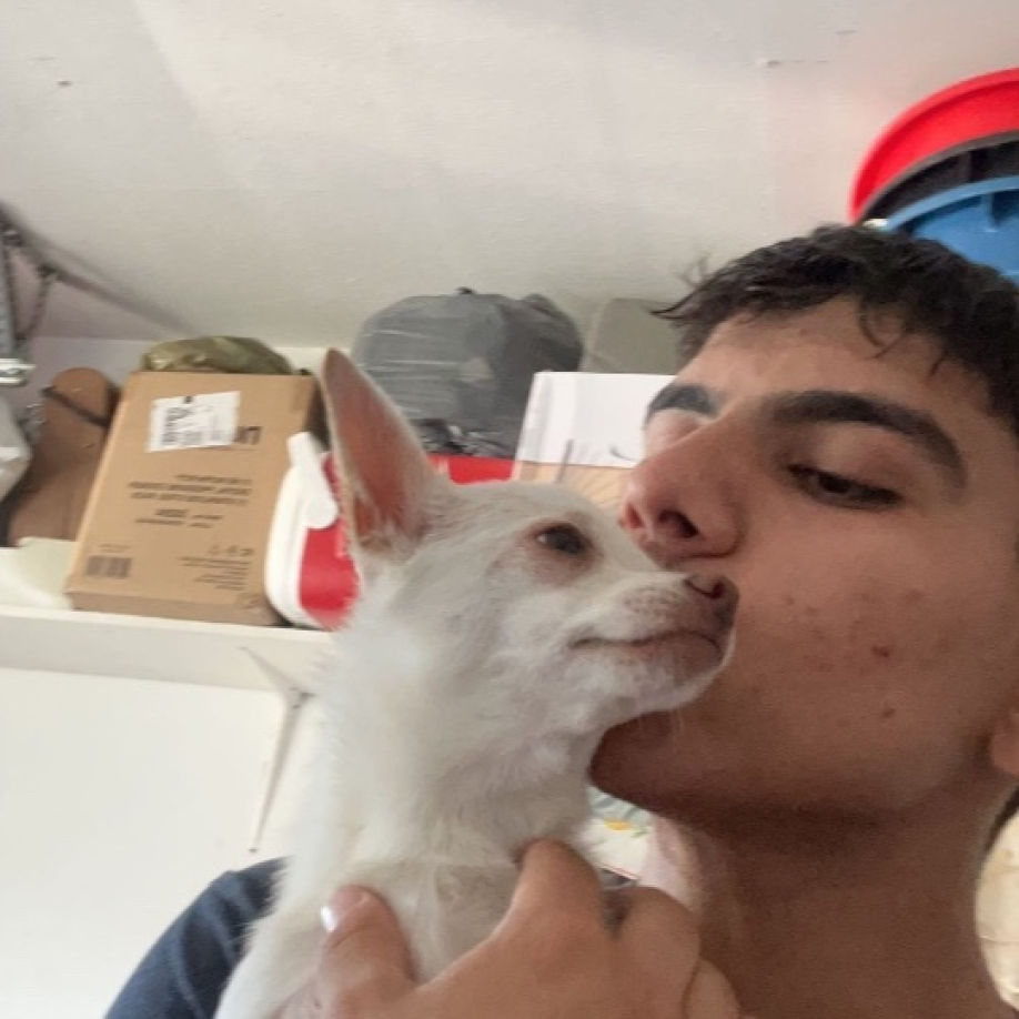 User profile picture
